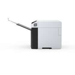 Epson SureLab SL-D1000 Profesyonel Fotoğraf Yazıcısı
