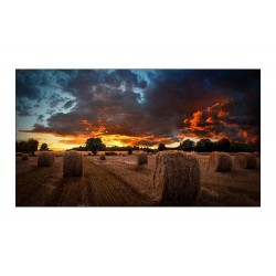 Samsung VideoWall VM55B-U Monitör Samsung VideoWall VM55B-U Monitör