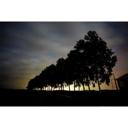 Tokina FíRIN 20MM F2 FE AF (Sony Uyumlu)